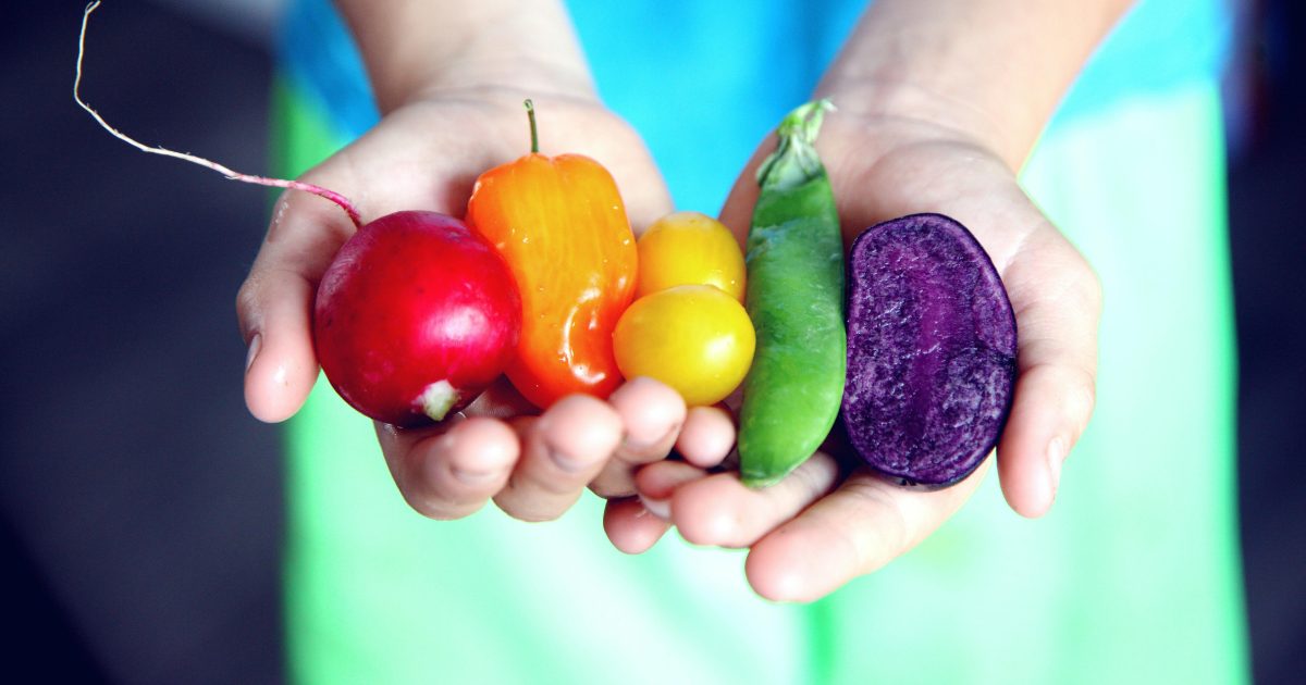 Read more about the article VII. Anyák hangja: Egészséges étkezés ünnepek alatt: így állítsd be az édességfogyasztás határait kisgyermekeknél – Szakértői útmutató szülőknek